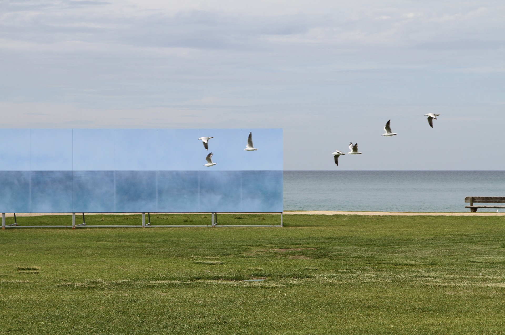 Black Art Projects Coastal Horizon Response