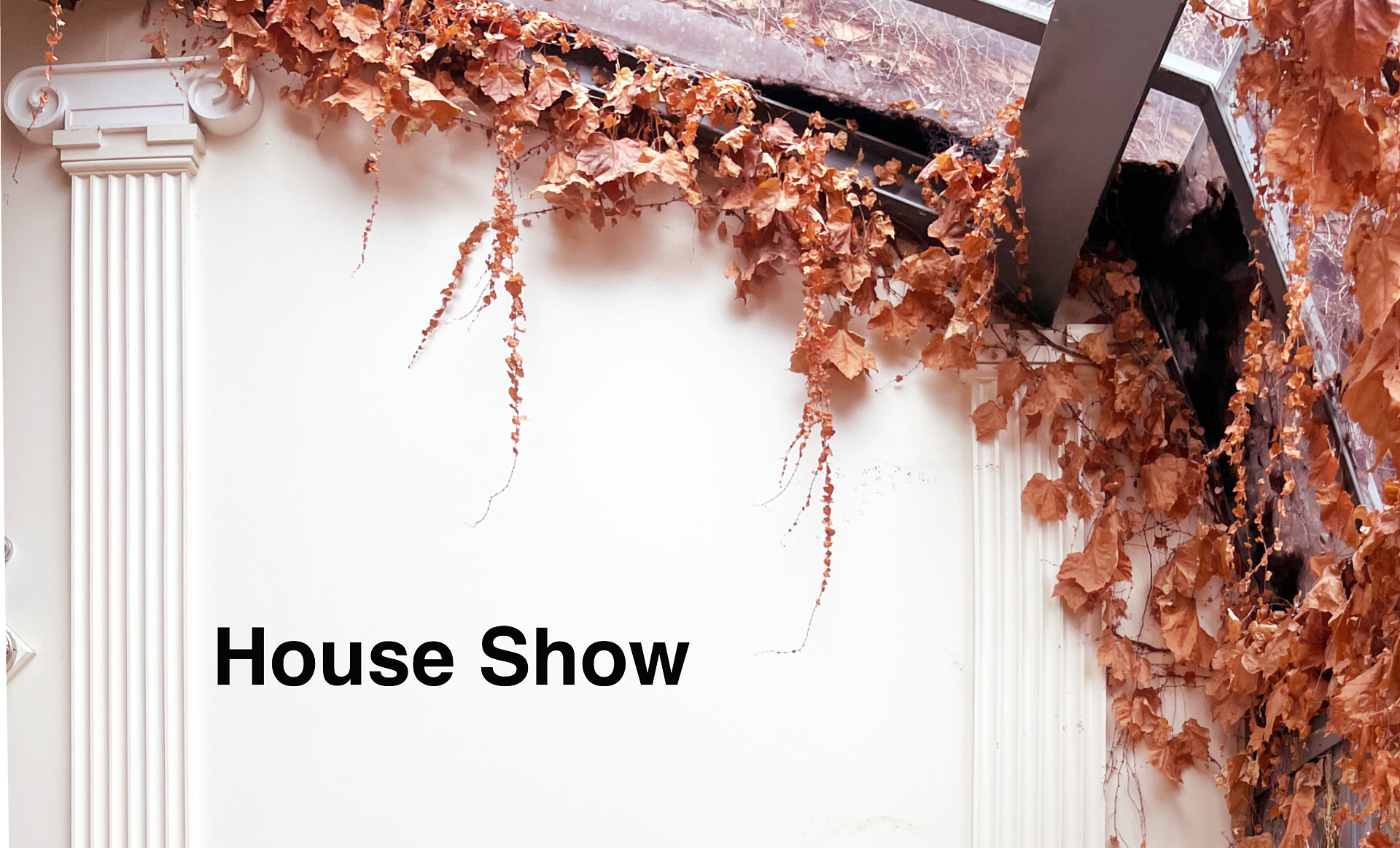Black Art Projects HOUSE SHOW