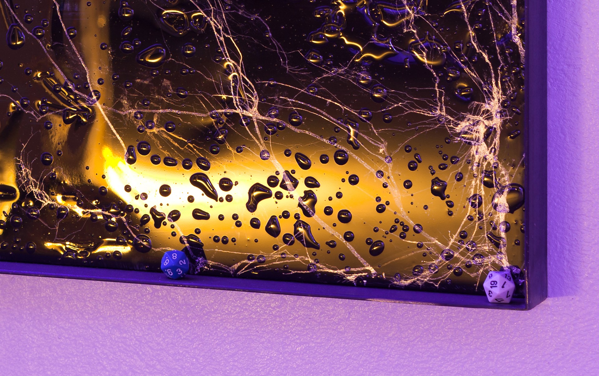 Black Art Projects House