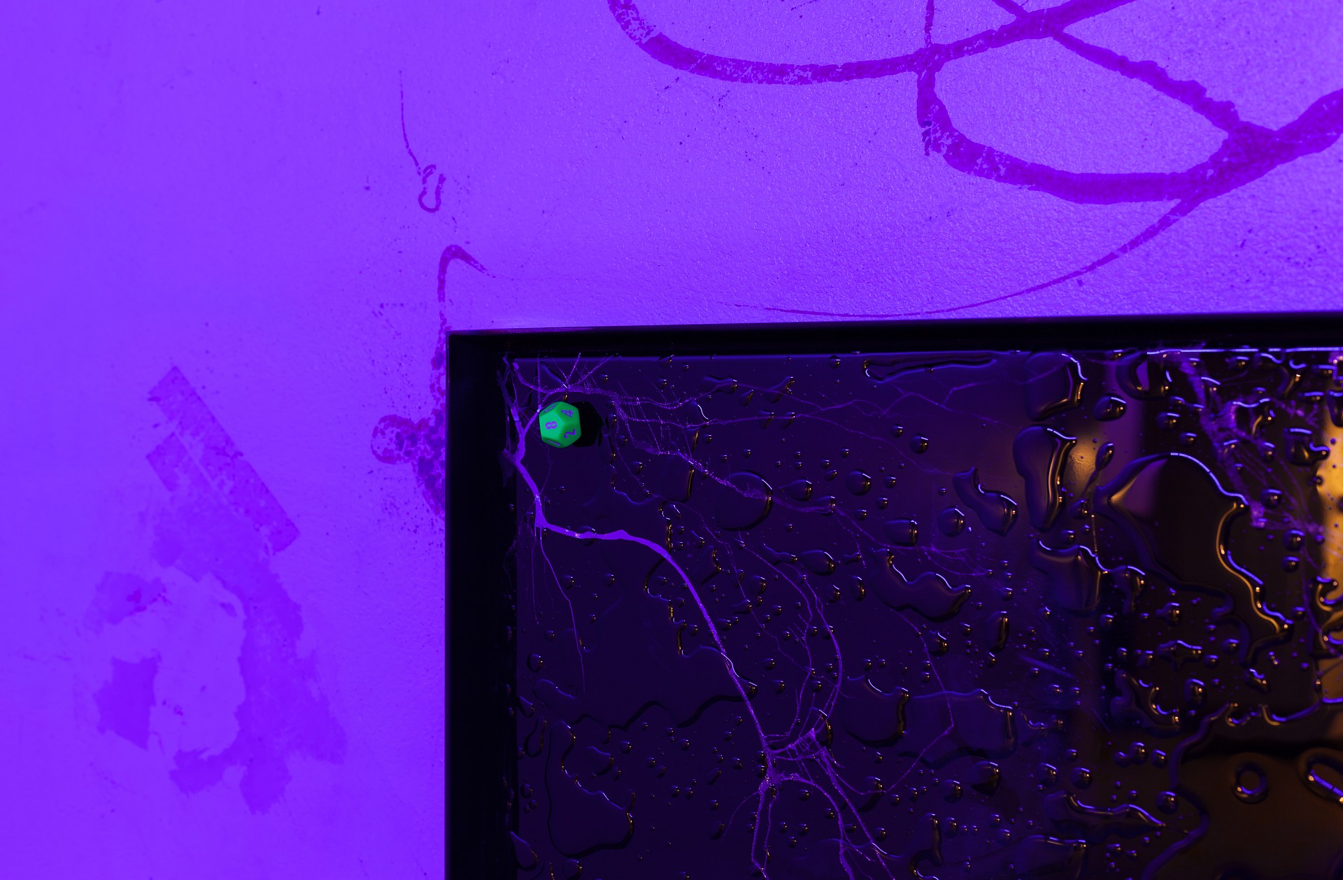 Black Art Projects House