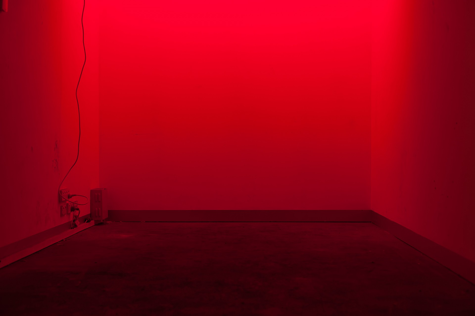 Black Art Projects House