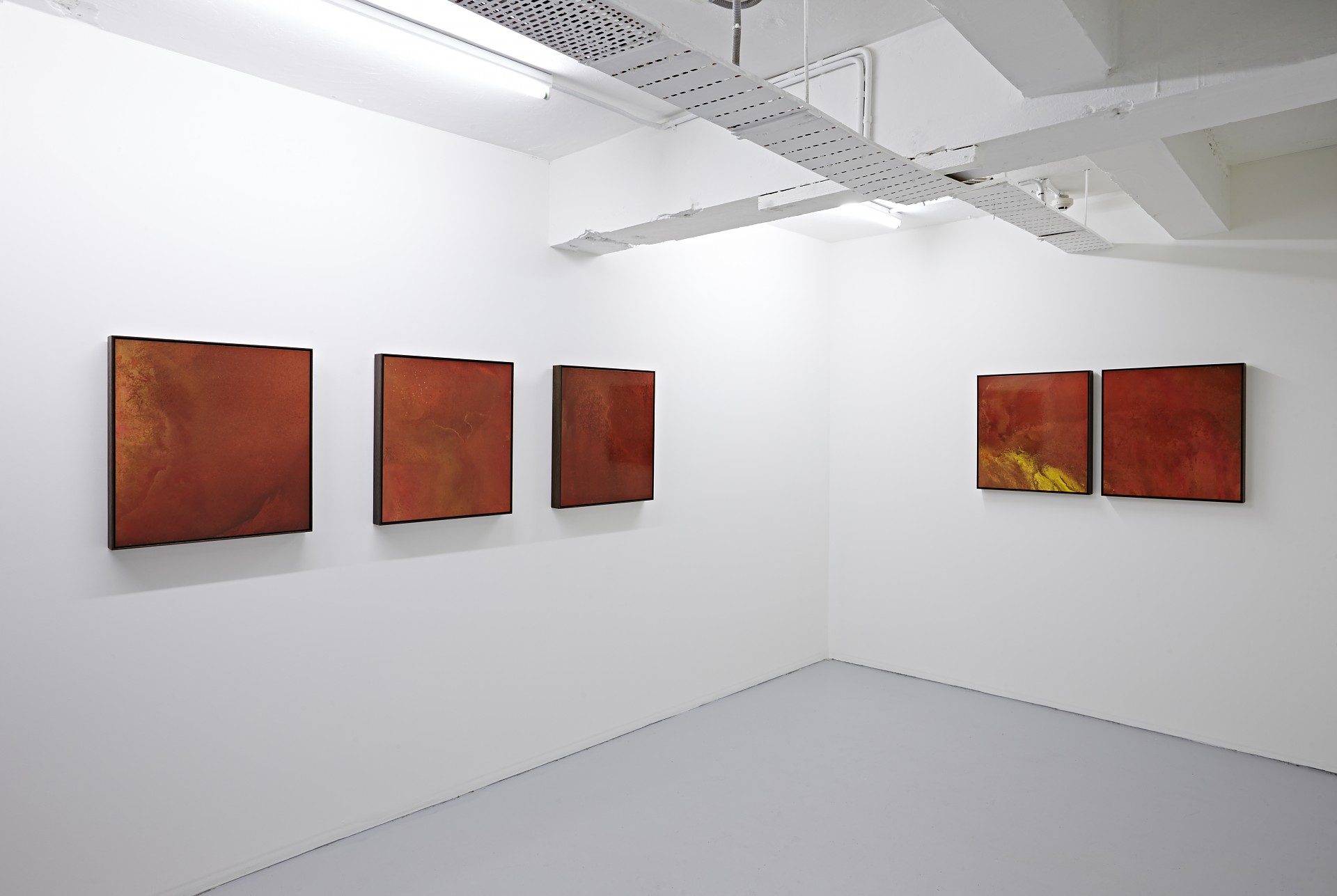 Black Art Projects Natural System Response