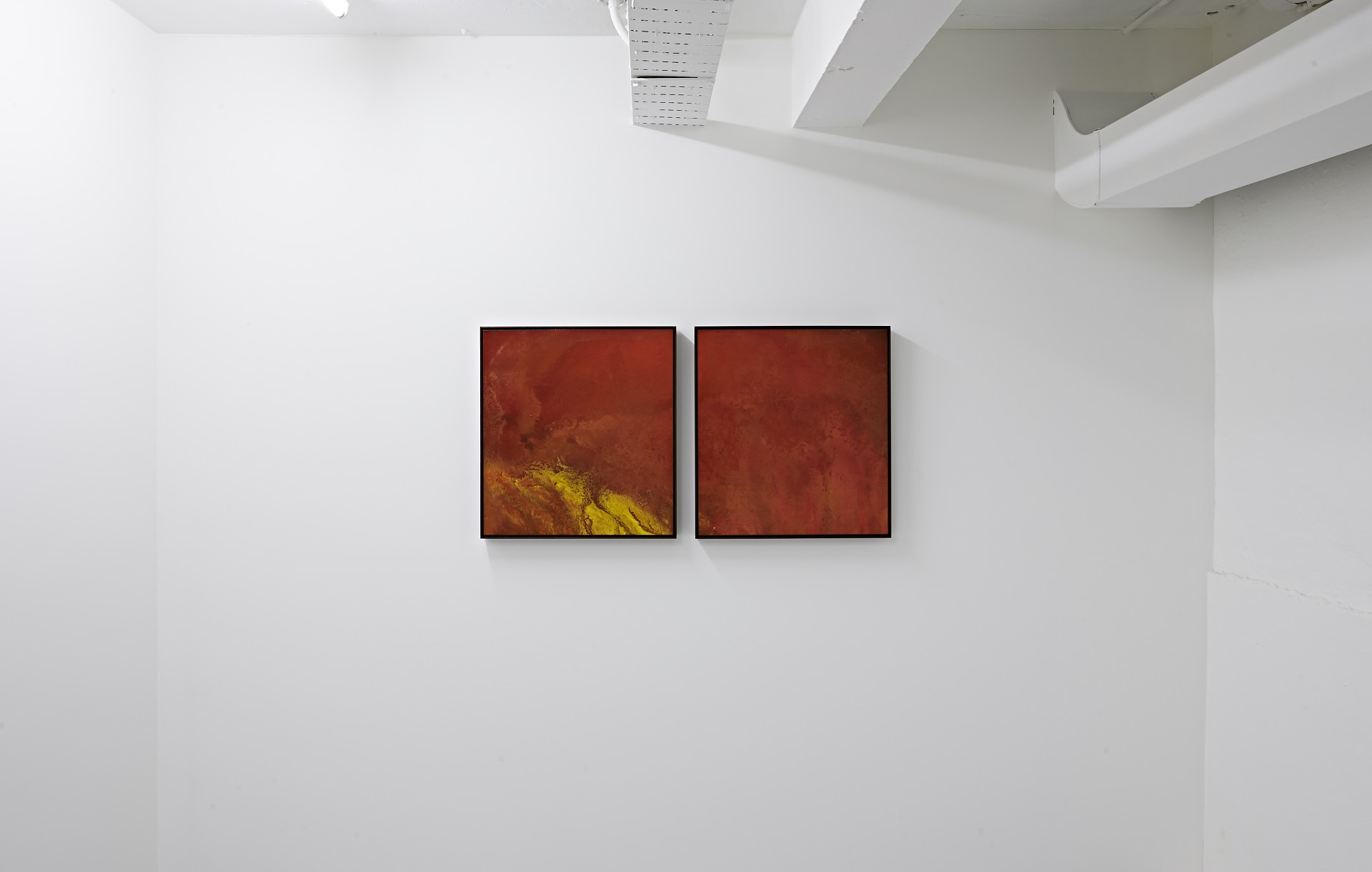 Black Art Projects Natural System Response