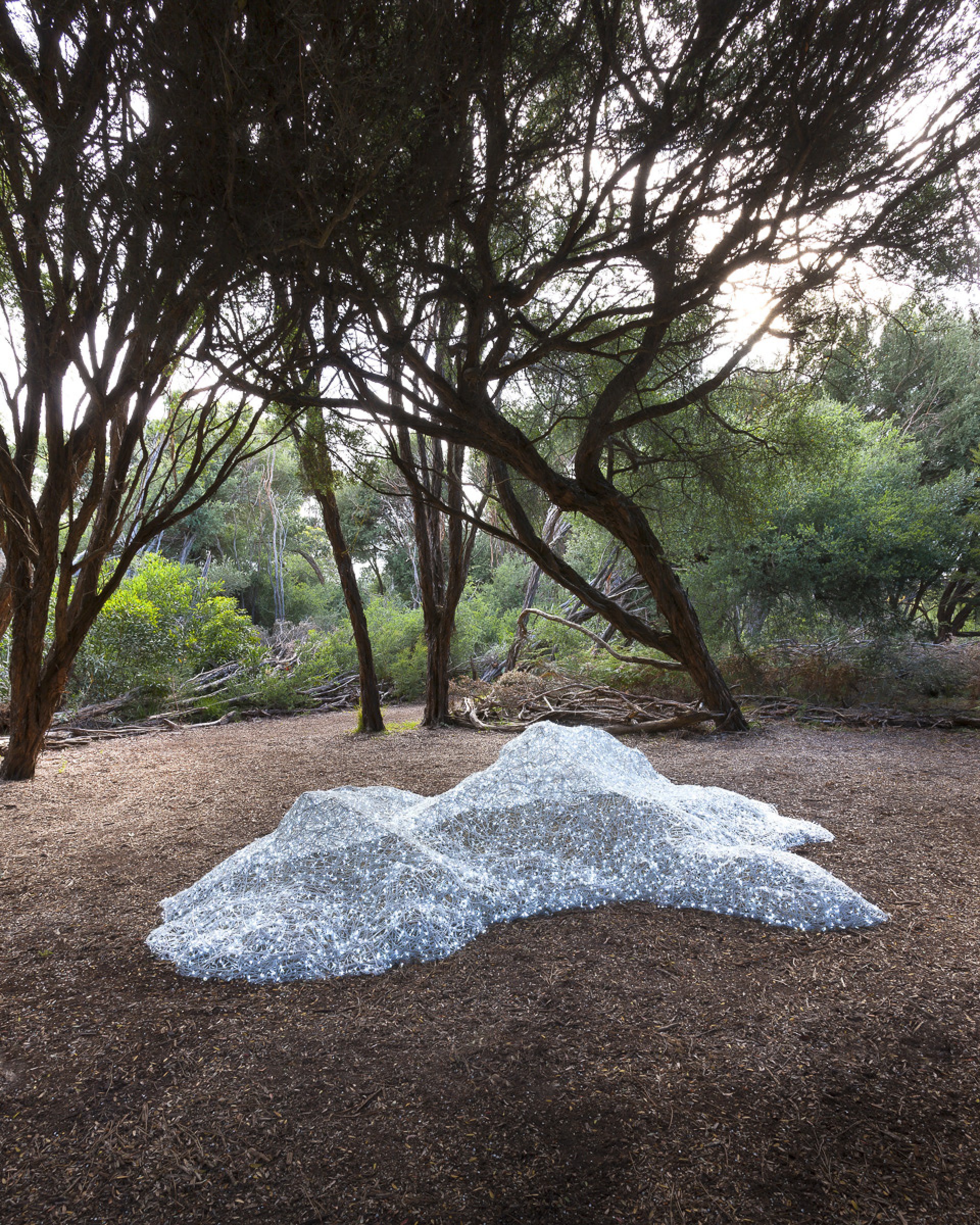 Black Art Projects New Hypothetical Continents