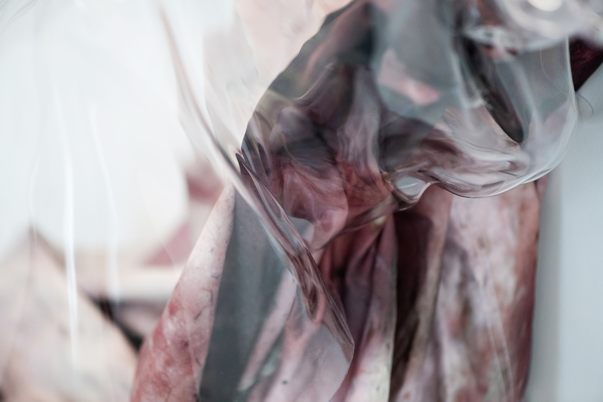 Black Art Projects The Fragile Skin of the World